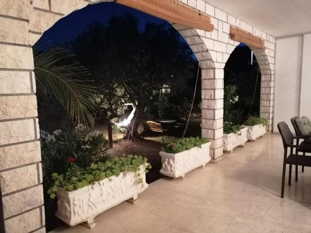 Apartments Triton ロゴズニッツァ エクステリア 写真